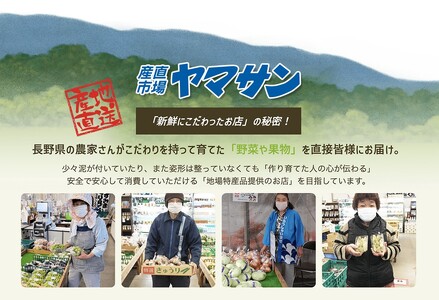 【2025年先行予約】りんご 訳あり サンふじ 約10kg | りんご 信州産 長野県 千曲市