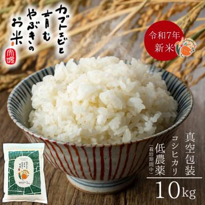 ふるさと納税 矢吹町 令和7年産米【栽培期間中の農薬削減・真空包装】カブトエビと育むやぶきのお米 コシヒカリ 10kg