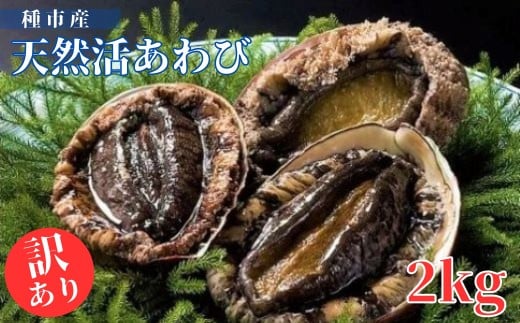 種市産天然活あわび(訳あり) 16～22個程度(約2kg) お刺身 鮑 ステーキ 産地直送 冷蔵