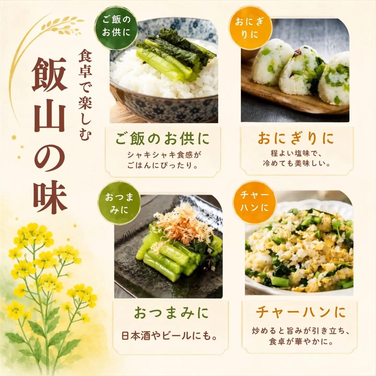 野沢菜漬 500g 3袋 合計 1.5kg《保存料・合成着色料不使用》(Bl-007)