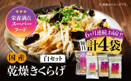 【全6回定期便】【栄養満点のスーパーフード！りんりんきくらげ】国産 乾燥 木耳 美容 健康 白セット 計4袋 きくらげ キクラゲ 木耳 きのこ キノコ 食品 食物繊維 野菜 やさい ビタミンD 乾燥 炒め物 ラーメン 便利 密封 安心 安全 美容 健康 腸活 ギフト 国産 広島県産 人気 江田島市/株式会社凛[XCB019]