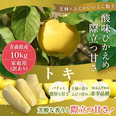 【10月から発送予定】訳あり 青森りんご トキ 約10kg ふじと王林の良いところ取り【配送不可地域：離島・沖縄県】