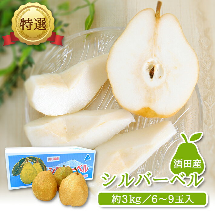 【ふるさと納税】特選 洋梨 シルバーベル 山形県酒田市産 約3kg（6～9玉入）11月下旬〜12月中旬頃お届け ※着日指定不可 西洋梨 ナシ 梨 なし 東北 山形県 酒田市 庄内