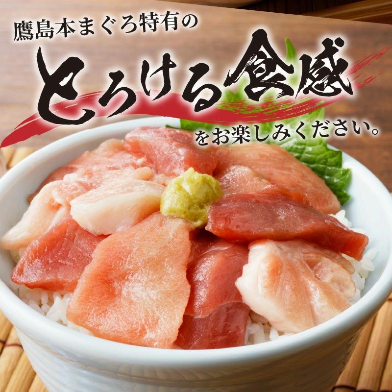鷹島産本まぐろ 贅沢まぐろ丼セットたっぷり2人前(赤身と中・大トロの切り落とし200g)( マグロ 鮪 大トロ 中トロ 赤身 丼 養殖 本マグロ 海鮮 お刺身 ネギトロ )【A8-006】
