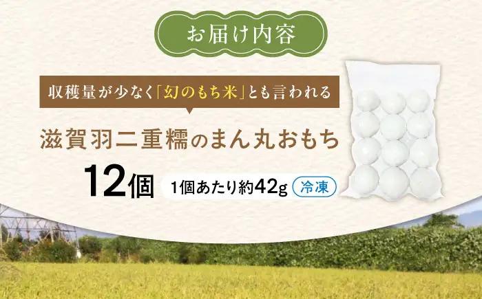 滋賀羽二重糯のまん丸おもち 12個[AQEC001]もち