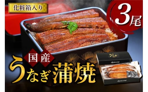 うなぎ 国産 うなぎ蒲焼き 3尾 [モリカン 徳島県 北島町 29bh0002] ウナギ 鰻 unagi うなぎ蒲焼 真空パック 真空 パック 冷蔵