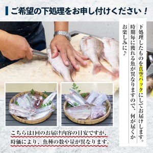 鮮魚詰合せ！ 朝どれの鮮魚を産地直送で！ 新鮮な海の幸(鮮魚)の詰合せ【A-585H】