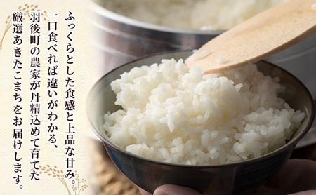 ［令和7年産］定期便 秋田県産 あきたこまち 10kg (5kg×2袋) 全3回 毎月お届け 羽後町産 [藤原商店]【 米 お米 白米 精米 あきたこまち アキタコマチ 定期 定期便 美味しい 秋田 