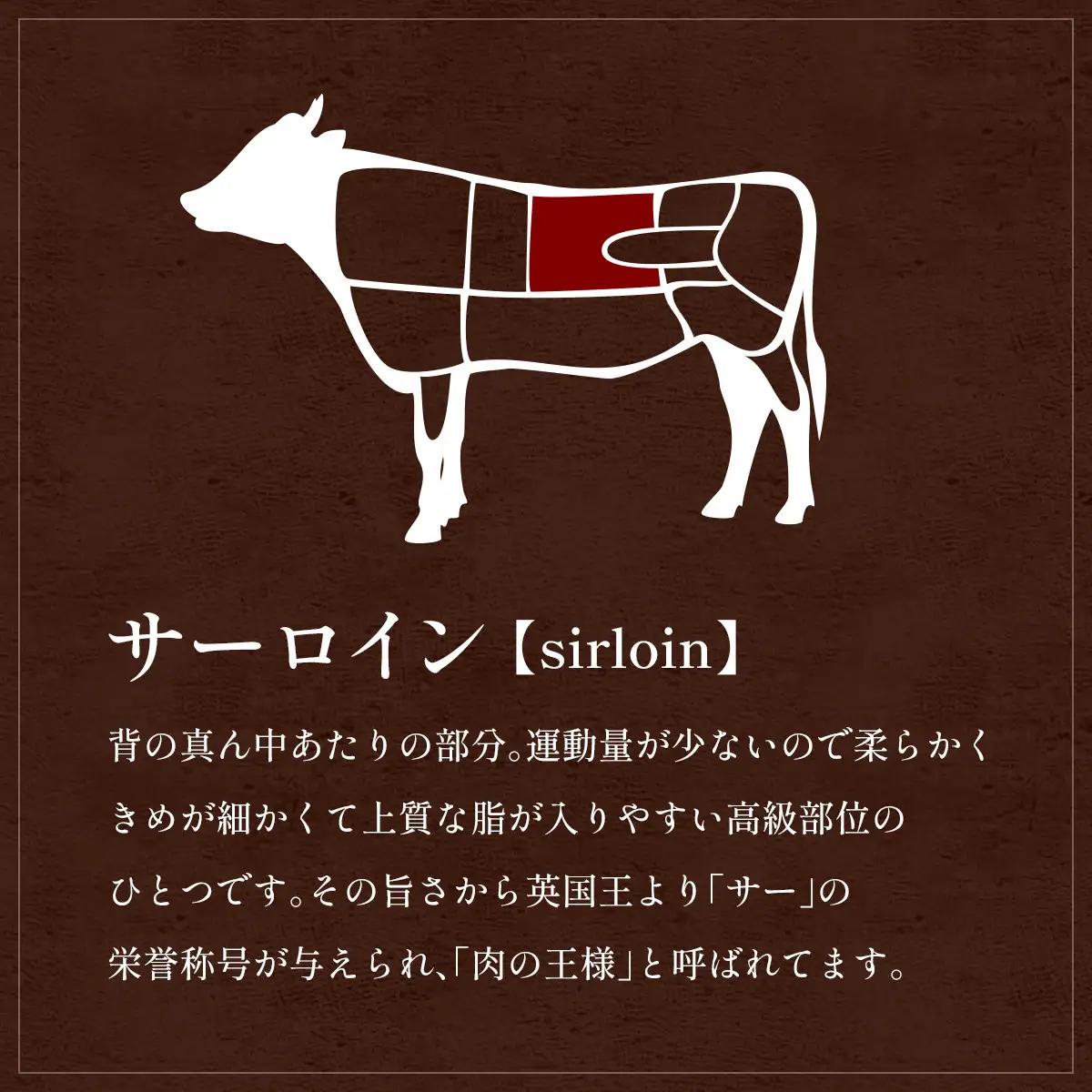 肉【和牛セレブ】能登牛 サーロインステーキ 240g×2枚 黒毛和牛 サーロイン ステーキ 霜降り ギフト 石川県 能美市