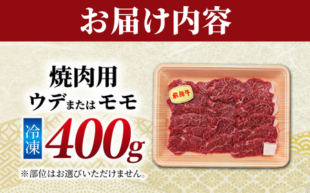 飛騨牛 うまさ広がる赤身焼肉用 ウデ又はモモ400g （冷凍） 牛肉 肉 ブランド肉 岐阜市 / 羊Diningひとみしり[ANIF002]
