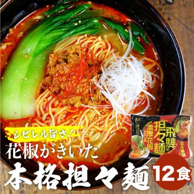ふるさと納税 飛騨市 濃厚花椒担々麺　6袋12食セット