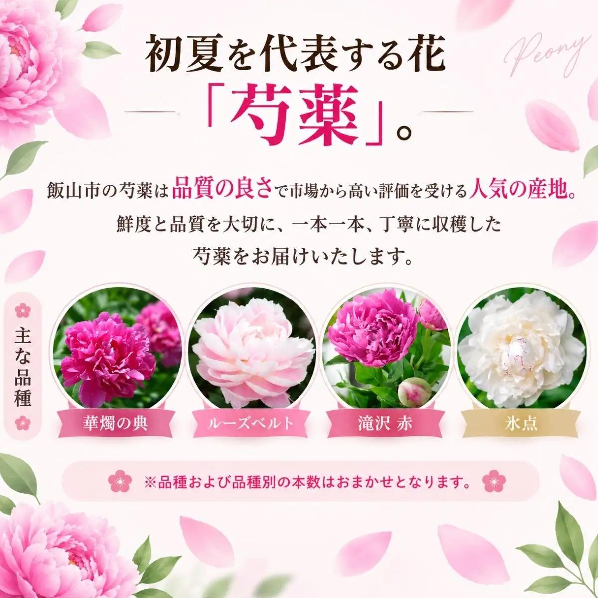 【先行予約】芍薬 切花 おまかせ2?3品種 25本セット | 木内ファーム