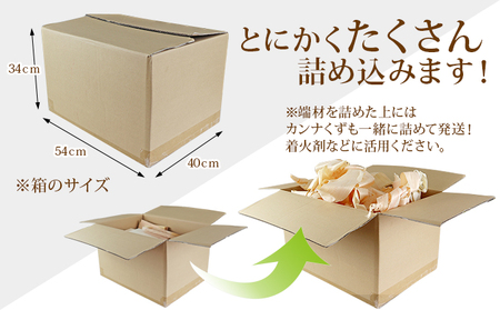 国産ひのき 木材端材 北米ひのき スプルース 純粋天然木 無垢材 など 段ボールいっぱい 詰め込み 雑貨 日用品 木製品 カンナくず 箱いっぱい 薪ストーブ 暖炉 燃料 焚き火 薪 バーベキュー キャ