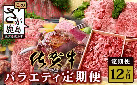 【定期便12回】佐賀牛 バラエティ 定期便 【肩ロース モモ 切落し サイコロステーキ 焼肉 ローストビーフ】 V-48