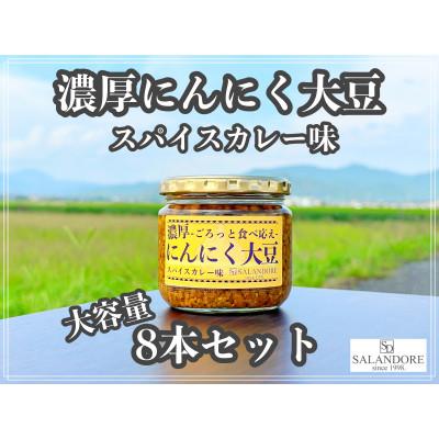 ふるさと納税 朝倉市 濃厚にんにく大豆_スパイスカレー味_300g×8本セット |  | 03