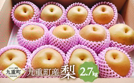 九重町産 梨 約2.7kg 豊水 新高 果物 フルーツ 大分県産 【2026年9月上旬～10月上旬発送予定】