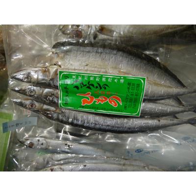 ふるさと納税 熊野市 定置網のハマケン水産【さんま開き15枚☆無添加】3枚入り×5P |  | 01