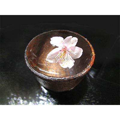 ふるさと納税 海南市 本格米焼酎と本格米芋混和焼酎『錐鑚』720ml×2種 |  | 02