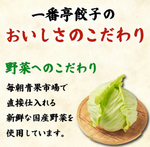  定期便 8ヶ月 冷凍餃子 63個 21個入り× 3箱 手作り 一番亭 モチモチ 皮 野菜 豚肉 晩ごはん 家族 お裾分け 弁当 惣菜 お取り寄せ 家庭用 餃子セット ギョーザ 冷凍食品 中華 簡単調