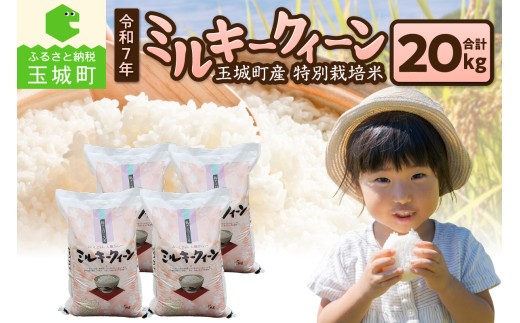 令和7年産 ミルキークイーン 20kg 【 精米 米 白米 特別栽培米 20キロ 2025年産 お米 こめ ご飯 お弁当 おにぎり 常温 ギフト 贈答 備蓄米 非常用 三重県 玉城町 】