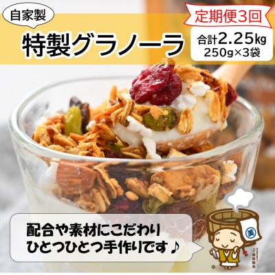 ふるさと納税 あわら市 【毎月定期便】自家製 フルーツグラノーラ 250g×3袋 750g(計2.25kg)全3回