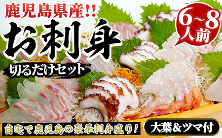 鹿児島県産！お刺身切るだけセット(6人～8人前)国産 刺し身盛 鹿児島産 魚貝 魚介 海産物 刺身 蛸 たこ 海老 エビ かんぱち タイ 簡単調理 おつまみ セット 小分け 個包装【さるがく水産】a-