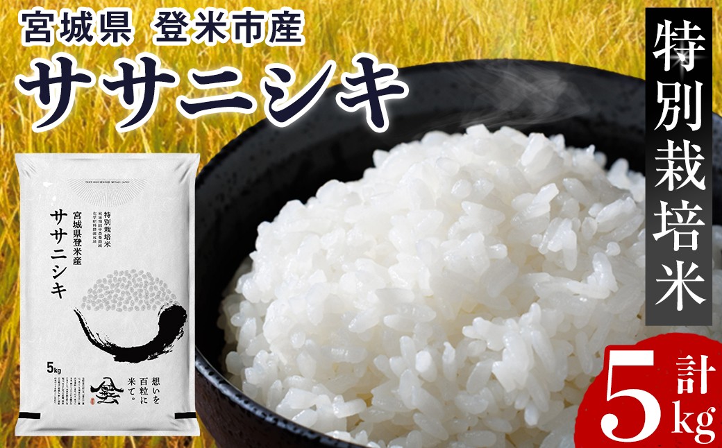 
                  【14営業日以内に発送予定】≪令和7年産≫ 特別栽培米 ササニシキ 5kg (5kg×1袋)  登米市産 お米 おこめ 米 コメ ささにしき 白米 ご飯 ごはん おにぎり お弁当 【登米ライスサービス株式会社】tm156
                