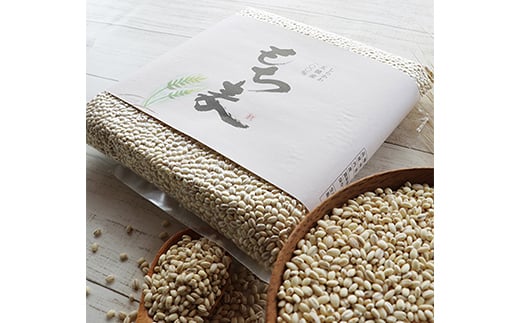 もち麦（六条大麦）1kg  もち米 食品 F21R-759