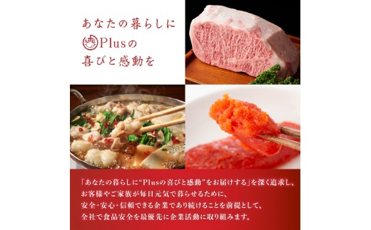 あなたの暮らしにPlusの喜びと感動を
