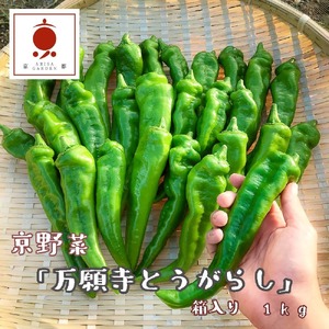 【2024年夏発送】京野菜 「万願寺とうがらし」 からくない！肉厚甘い 逸品 箱入り 1kg 2～4人用 伝統野菜 とうがらし 万願寺 ピーマン 大型 野菜 夏野菜 農家直送 揚げ物 炒め物 煮物 レシピ付き 京都 舞鶴 万願寺唐辛子万願寺唐辛子万願寺唐辛子万願寺唐辛子万願寺唐辛子万願寺唐辛子万願寺唐辛子万願寺唐辛子万願寺唐辛子万願寺唐辛子万願寺唐辛子万願寺唐辛子万願寺唐辛子万願寺唐辛子万願寺唐辛子万願寺唐辛子万願寺唐辛子万願寺唐辛子万願寺唐辛子万願寺唐辛子万願寺唐辛子万願寺唐辛子万願寺唐辛子万願寺唐辛子万