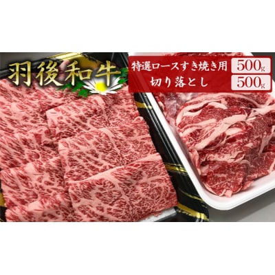 羽後和牛特選ロースすき焼き用500g+羽後和牛切り落とし500g [No.5325-0043]