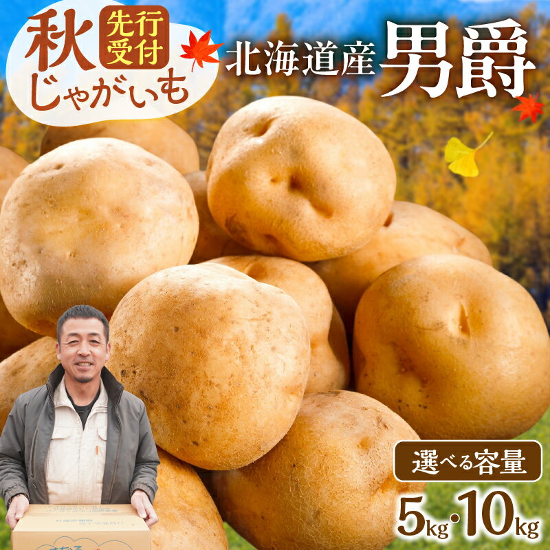 【ふるさと納税】先行予約【 選べる内容量！ 】 ホクホク！しっとりなめらか！ 北海道産 男爵 約 5kg 約 10kg じゃがいも いも 芋 産地直送 ポテトサラダ コロッケ ジャーマンポテト 肉じゃが ポテトスープ ニョッキ ハッシュドポテト 男爵薯 馬鈴薯 北海道 清水町 送料無料