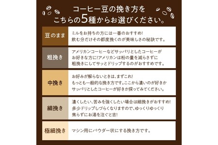 【アイスコーヒー用】自家焙煎アイスコーヒー用ブレンドコーヒー豆 500g（250g×2） 八月の犬ハウスブレンド 約50杯分　小分け　豆・粉 選べる