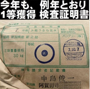 【令和7年産】【真空パック】整粒率95％の1等米！！ 阿賀野市産「新之助」無洗米 5kg 中島農場 精米 新潟県 最高品質米 米 こめ コメ お米 ごはん ご飯 農家直送 長期保存 保存食 災害用備蓄