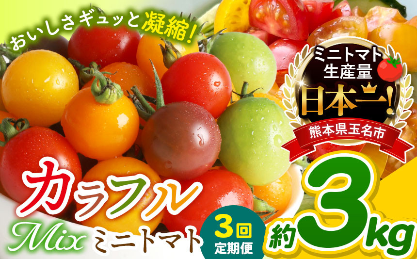 
【 定期便 3回 】 ミニトマト 生産量 日本一 玉名市 !! カラフル ミニトマト 約 3kg （ ミックス ） サザキ農園 | 野菜 トマト ミニトマト 熊本県 玉名市 定期便
