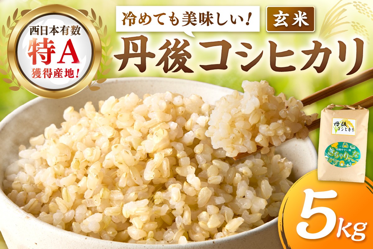 
                  直売所直送「令和7年産　京丹後市産　コシヒカリ」　玄米5kg ふるさと納税 米 玄米 特A 検査1等米 国産 こめ ごはん 京都産 コシヒカリ 農家応援 生産者応援 送料無料　JA00081～JA00081S_03
                
