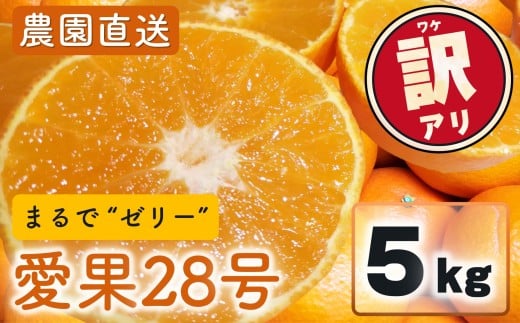 【先行予約】 愛果28号 (紅まどんな と同品種) 訳あり 家庭用 5kg (約12~30個)  光センサー選別 【2026年11月下旬頃から順次発送】 | 訳あり 不揃い 柑橘 果物 フルーツ あいか みかん 松山市 愛媛県 MOTTAINAI COCOLOFARM