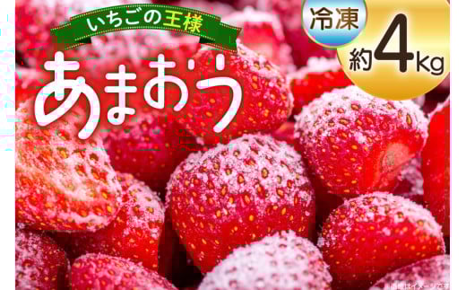 いちご 冷凍 あまおう 約4kg [mhshops 福岡県 筑紫野市 21761025] 冷凍いちご 冷凍イチゴ イチゴ 苺