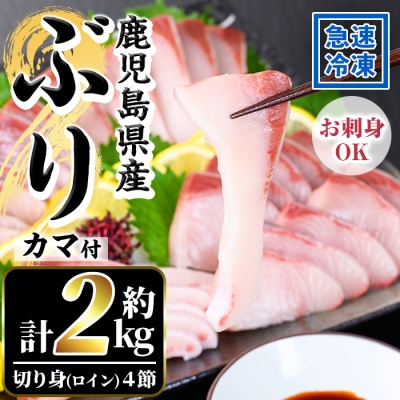 鹿児島県産養殖ぶり(ハマチ)の切り身「ロイン4節・カマ2個付」合計約2kg!