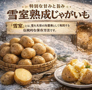 北海道産 熟成じゃがいも とうや 10㎏ 期間限定 雪室貯蔵 十勝産 ジャガイモ じゃが芋 いも 甘い