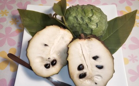 【先行受付】森のアイスクリーム アテモヤ 1kg (沖縄県八重瀬町産) - 産地直送 南国フルーツ 旬の味覚