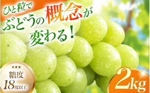 シャインマスカット【2026年先行予約】ぶどうの概念が変わる 秀品 約2kg 4～5房 糖度18度以上 ぶどう 葡萄 シャインマスカット マスカット しゃいんますかっと 果物 フルーツ 大粒 種無し 皮ごと 岡山県 真庭市【ysdb003】