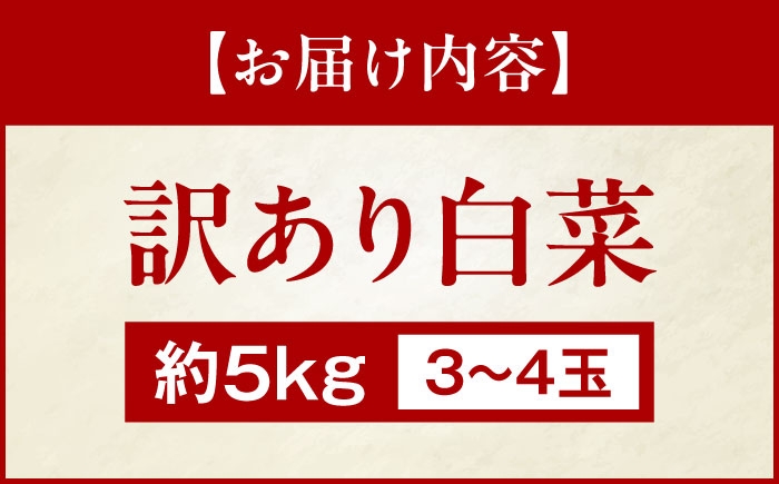 白菜　野菜　冬野菜　旬の野菜　国産　産地直送　農産物　旬野菜　国産野菜　農家　季節のお野菜　新鮮 採れたて 旬 お野菜