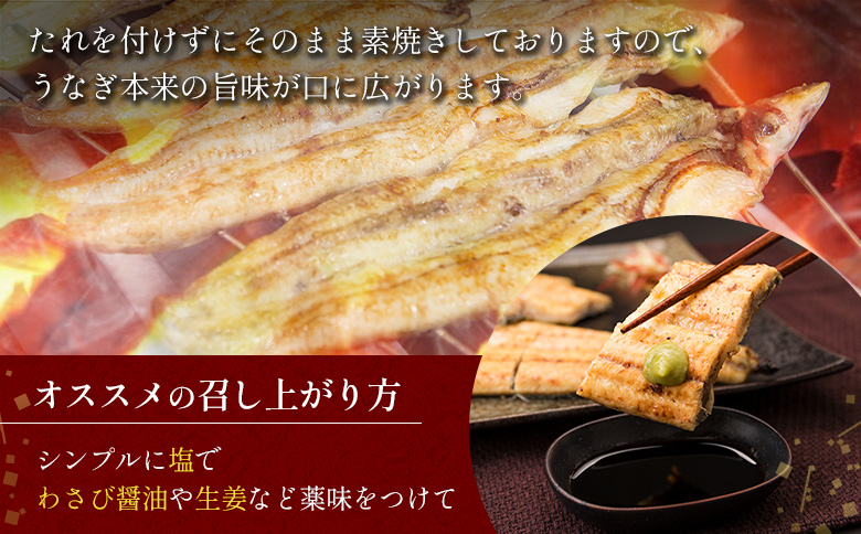 【訳あり】うなぎ白焼き 訳あり 不揃い 合計1kg（4～10尾入り）玄人の一品 バラツキ 数量限定 宮崎県産 冷凍 蒲焼タレ付【E224】