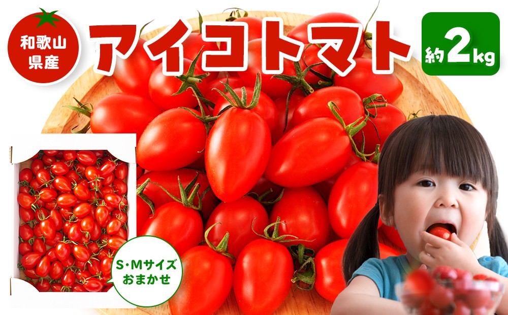
                  ［選べる発送時期］和歌山産ミニトマト「アイコトマト」約2kg（S・Mサイズおまかせ）
                