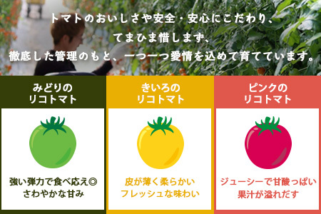 【先行受付】2027年1月より順次発送予定 【少量パック】カラフルミニトマト6種 360g（120g×3）トマト プチトマト 野菜 農家直送 ギフト 人気　たにぐちファーム Ricotomato（リコ