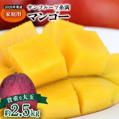 【2026年発送】サンフルーツ糸満マンゴー貴重な大玉 家庭用　約2.5kg 産地直送 先行予約 フルーツ 果物 くだもの アップルマンゴー アップル アーウィン種 濃厚 デザート 贅沢 旬の果物 甘い