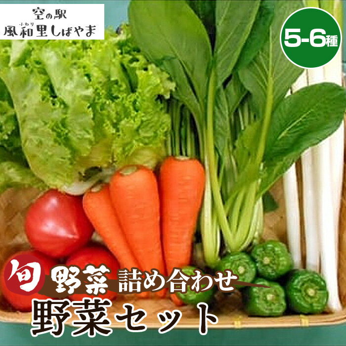 【ふるさと納税】No.062 野菜セット（5～6種） ／ 野菜 季節の野菜 旬 新鮮 自慢の逸品 詰め合わせ 送料無料 千葉県