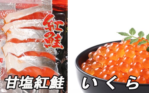 F-30003 甘塩紅鮭5切×5P、いくら醤油漬け100g×4P