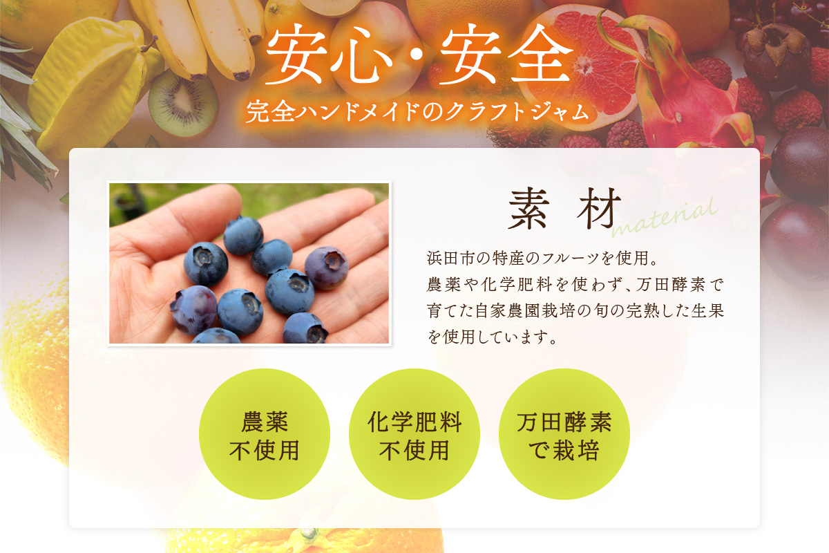浜田市の季節の旬の果物を使ったクラフトジャムセット【限定】（イチゴ・ブルーベリー・もも）加工品 果物 フルーツ ジャム ギフト 自家製 国産 有機砂糖 イチゴ ブルーベリー もも パン ヨーグルト ド